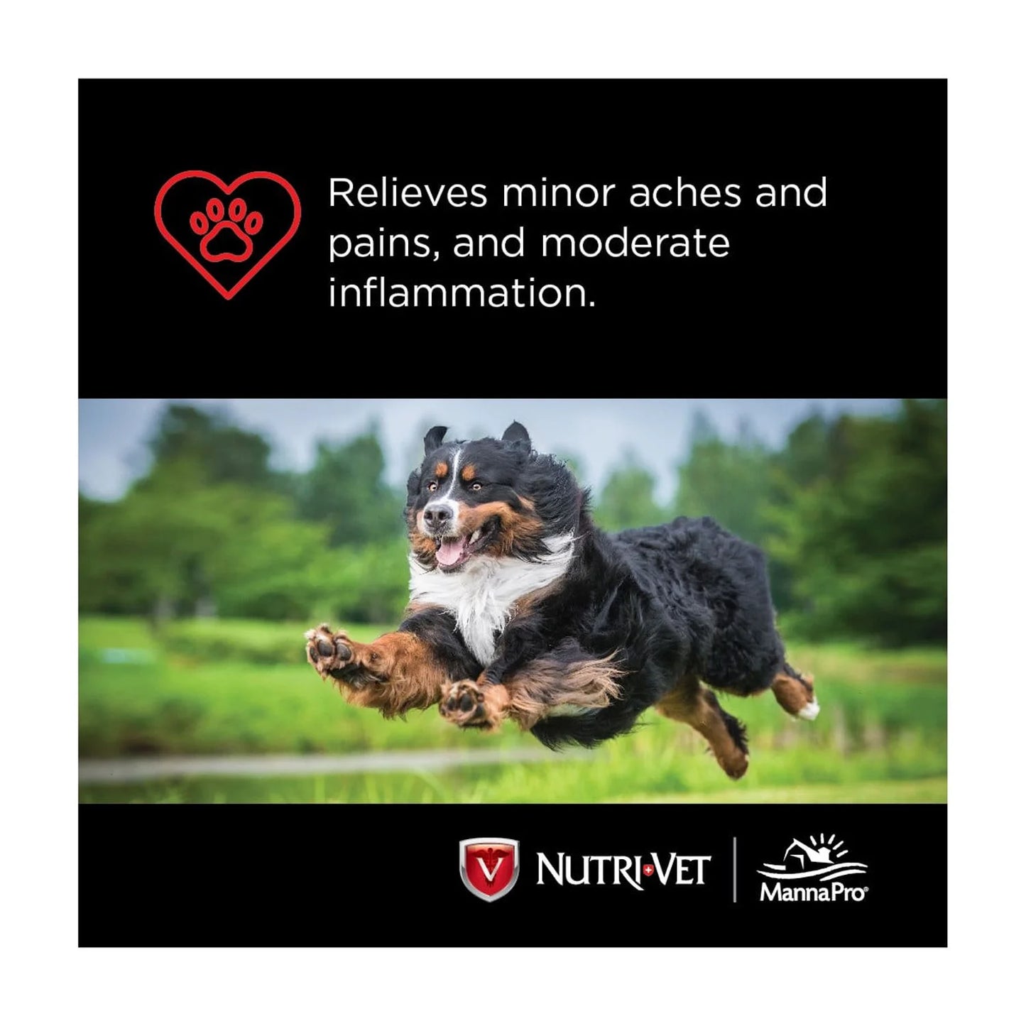 Aspirin for Dogs - Medium to Large Dogs - 300Mg - 75 Count