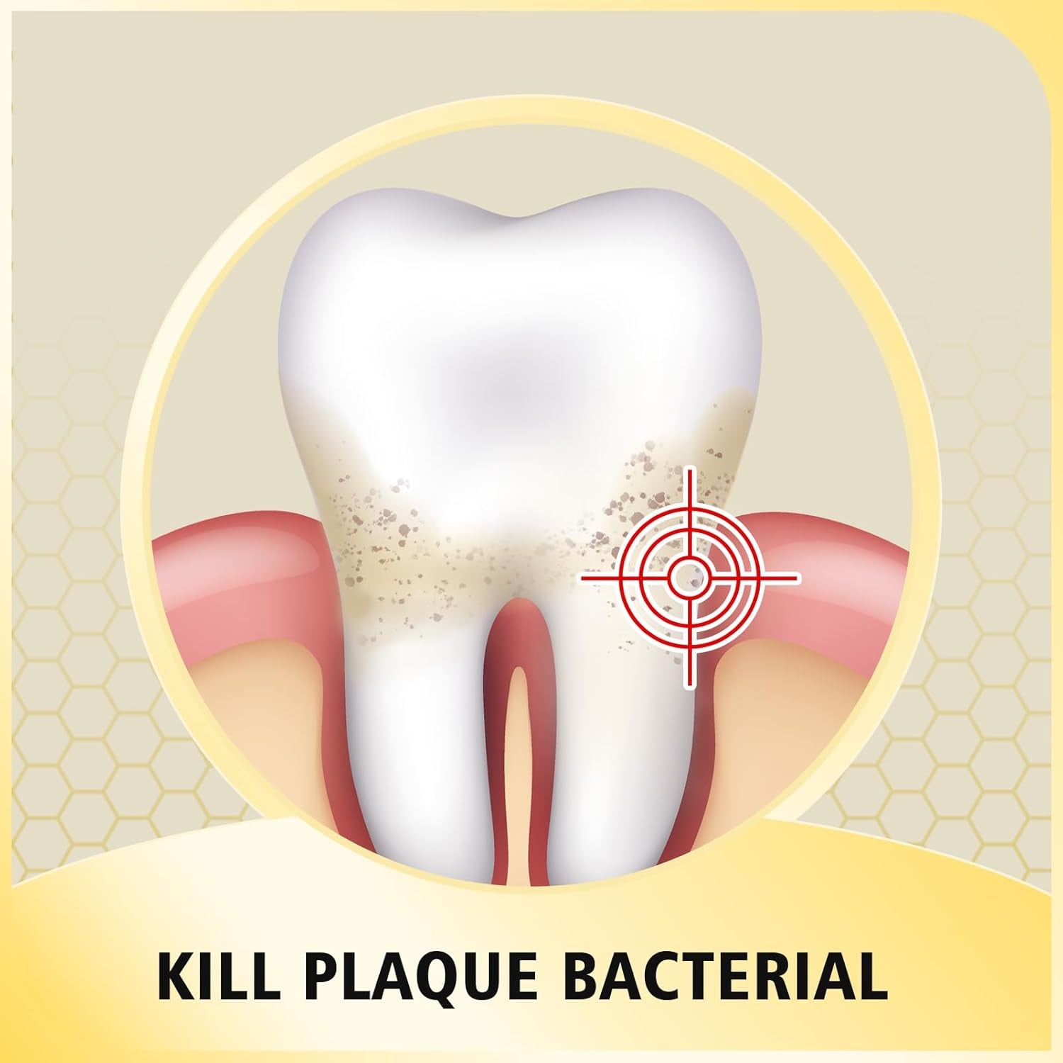 Transform Your Oral Care Routine with Bee Wasp Venom Multi-Peptides Toothpaste - Effective Treatment for Bleeding Gums, Gingivitis, and Sensitive Teeth - 3.7 OZ