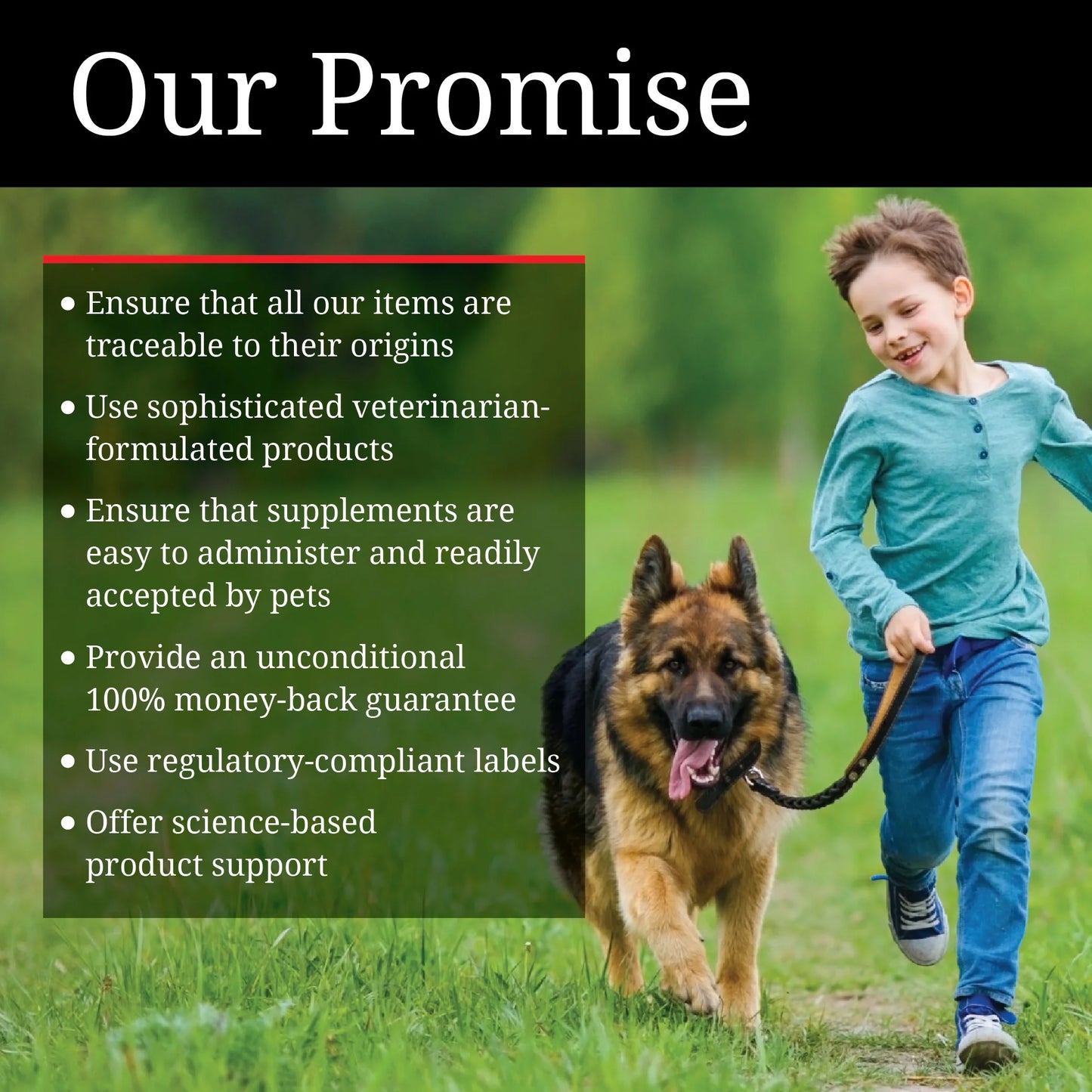 Aspirin for Dogs - Medium to Large Dogs - 300Mg - 75 Count