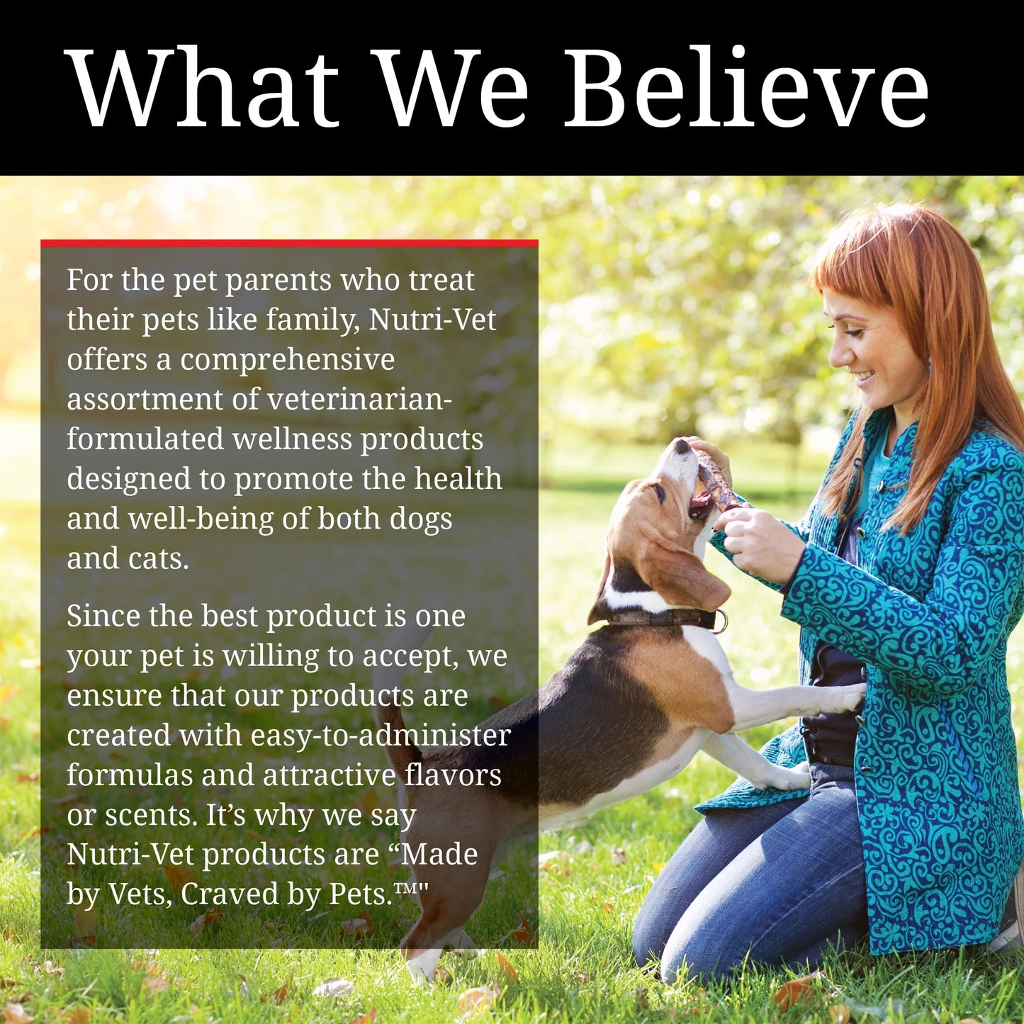 Aspirin for Dogs - Medium to Large Dogs - 300Mg - 75 Count