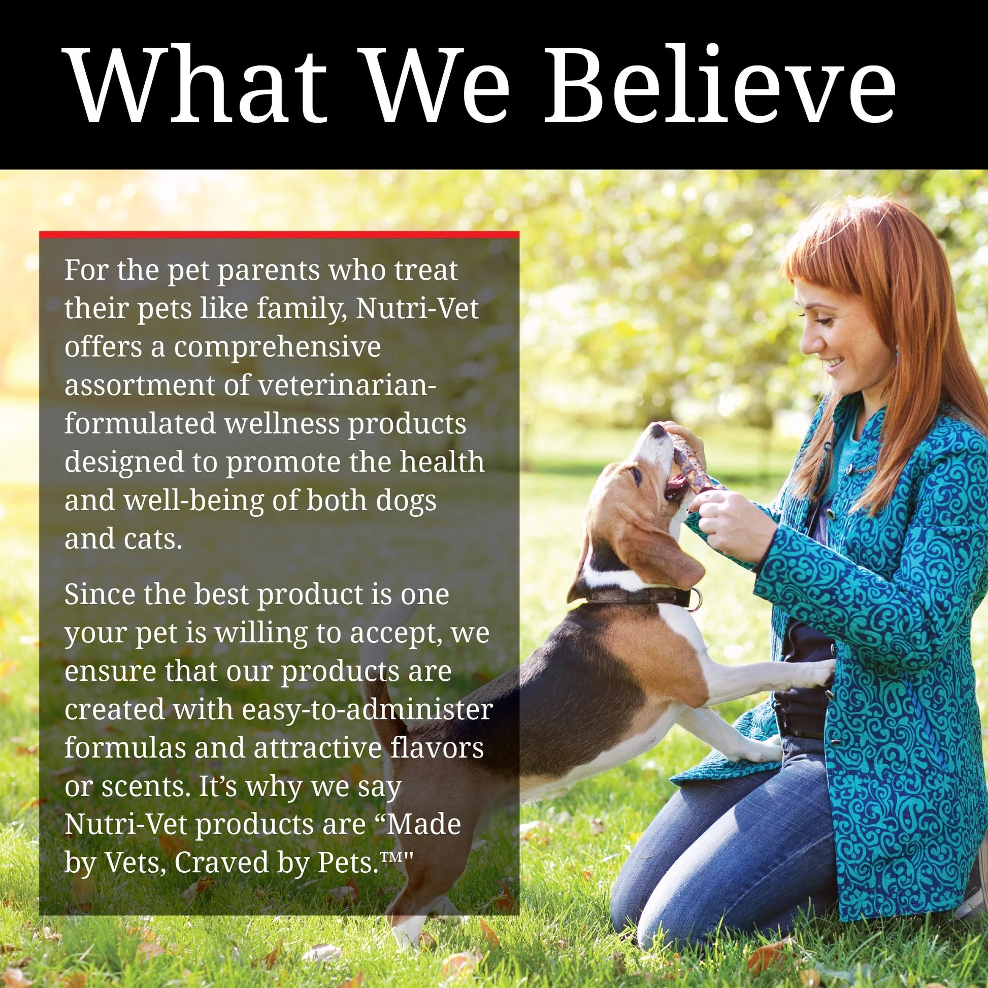 Aspirin for Dogs - Medium to Large Dogs - 300Mg - 75 Count